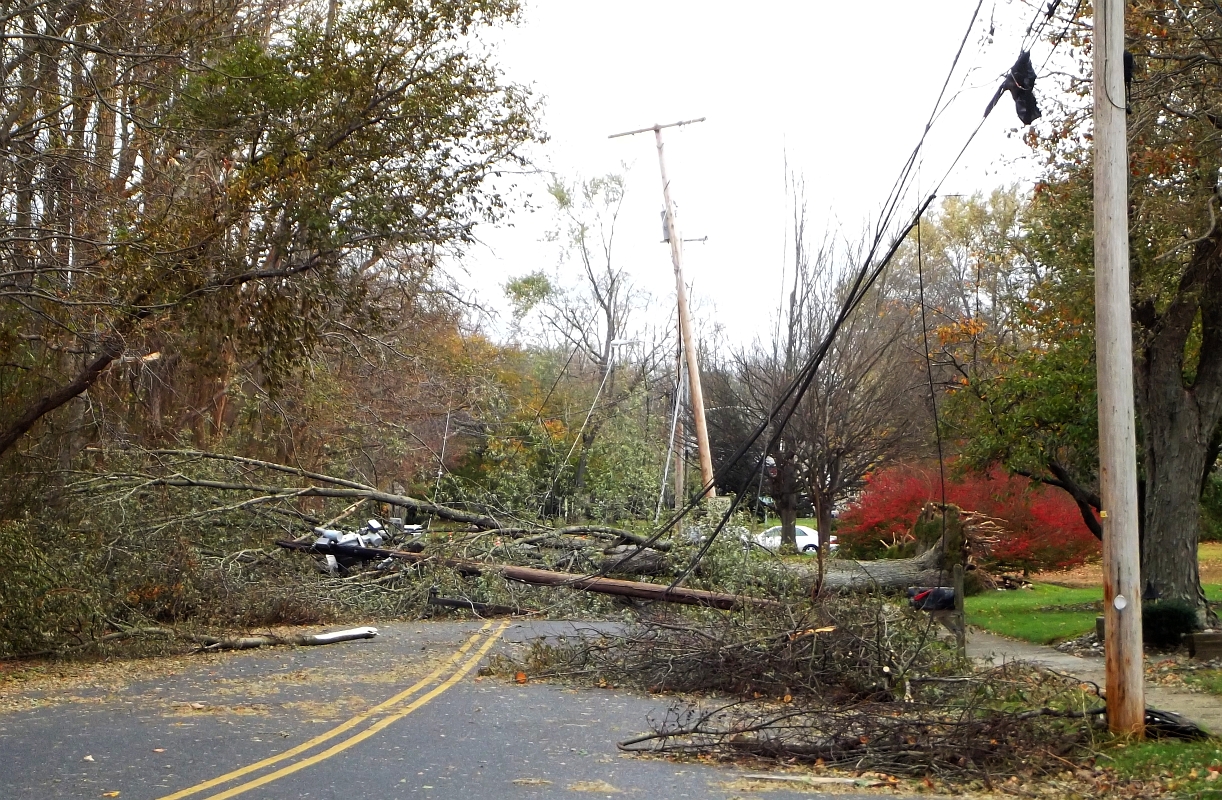 Power-Lines-and-Trees-are-Dangerous